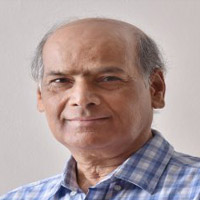 Anami Narayan Roy