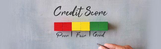 Checking CIBIL Score with PAN Number